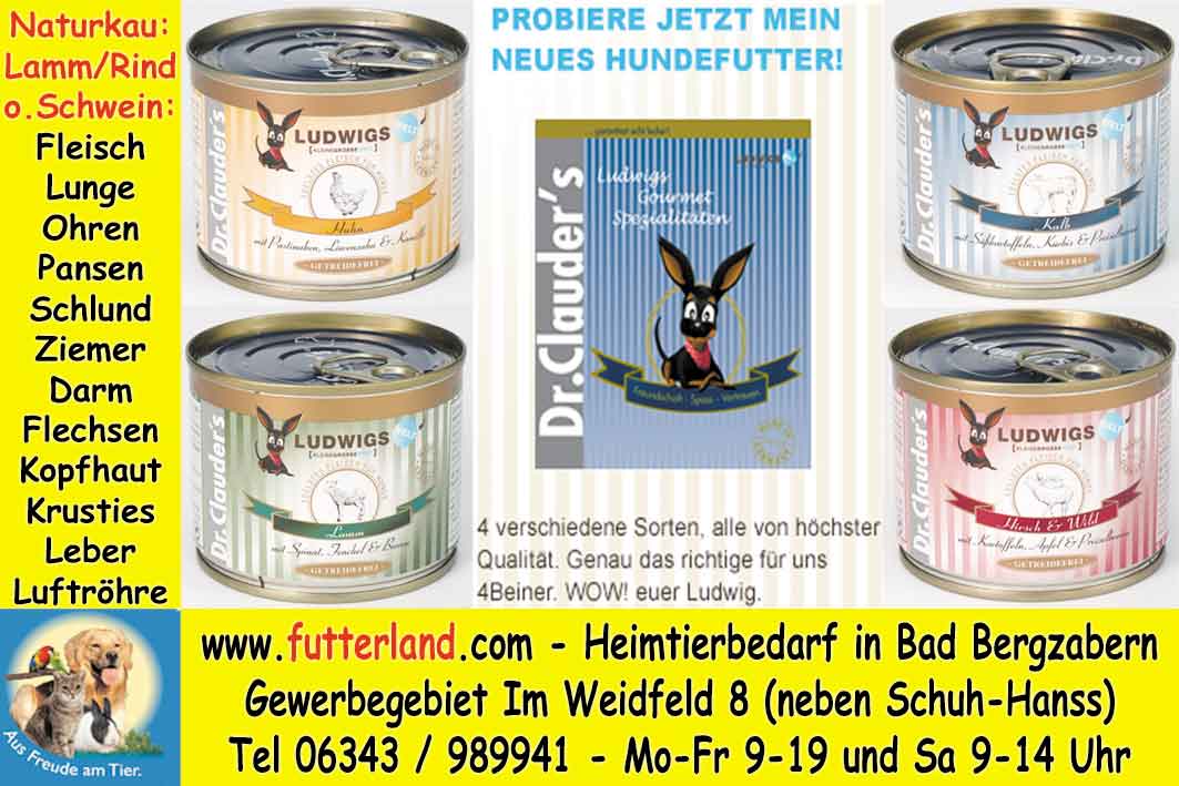 Bienwald-Kurier-2012-08-01