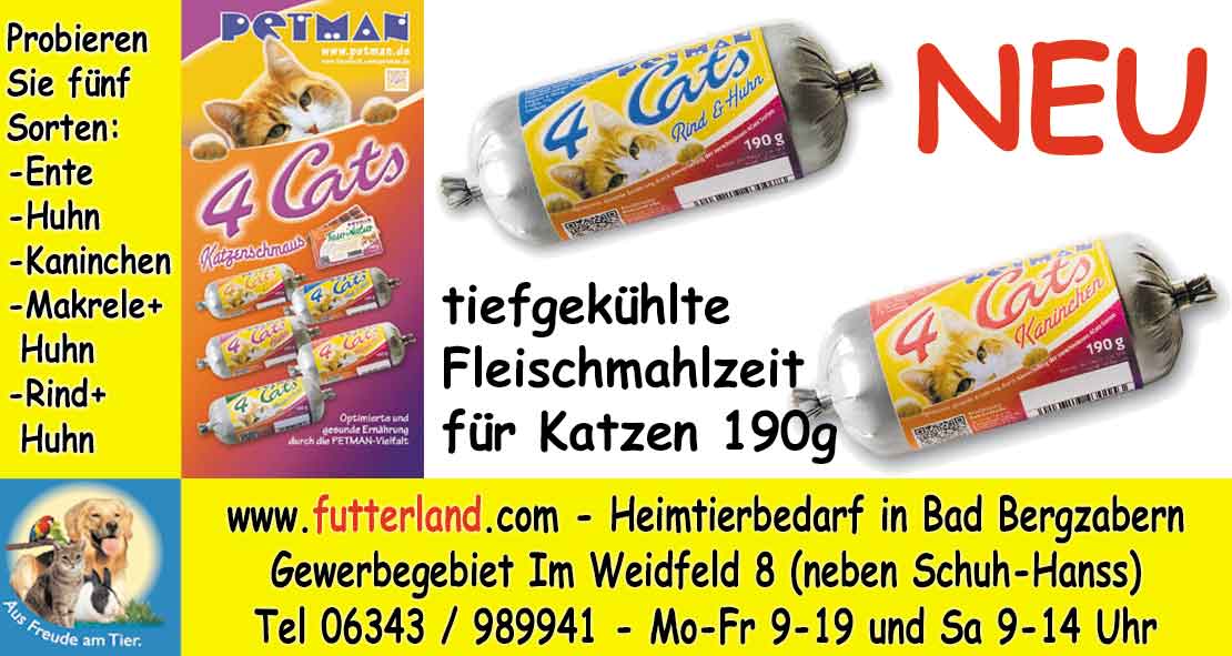 Pfalz-Echo-2012-11-26