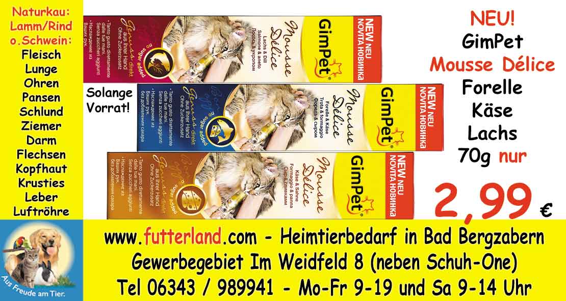 Pfalz-Echo-2013-12-23