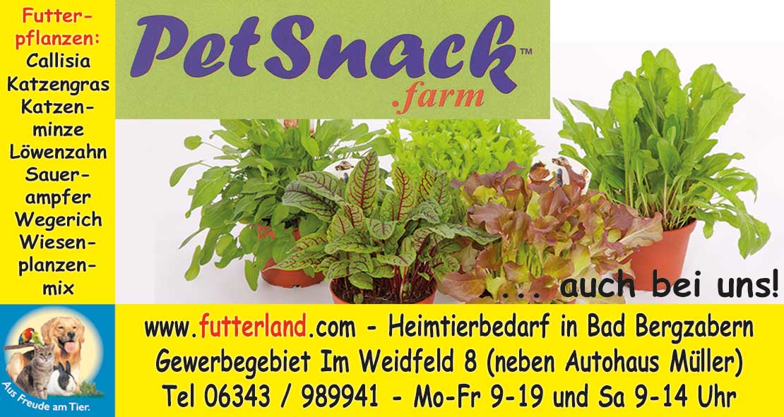 Pfalz-Echo-2016-06-27