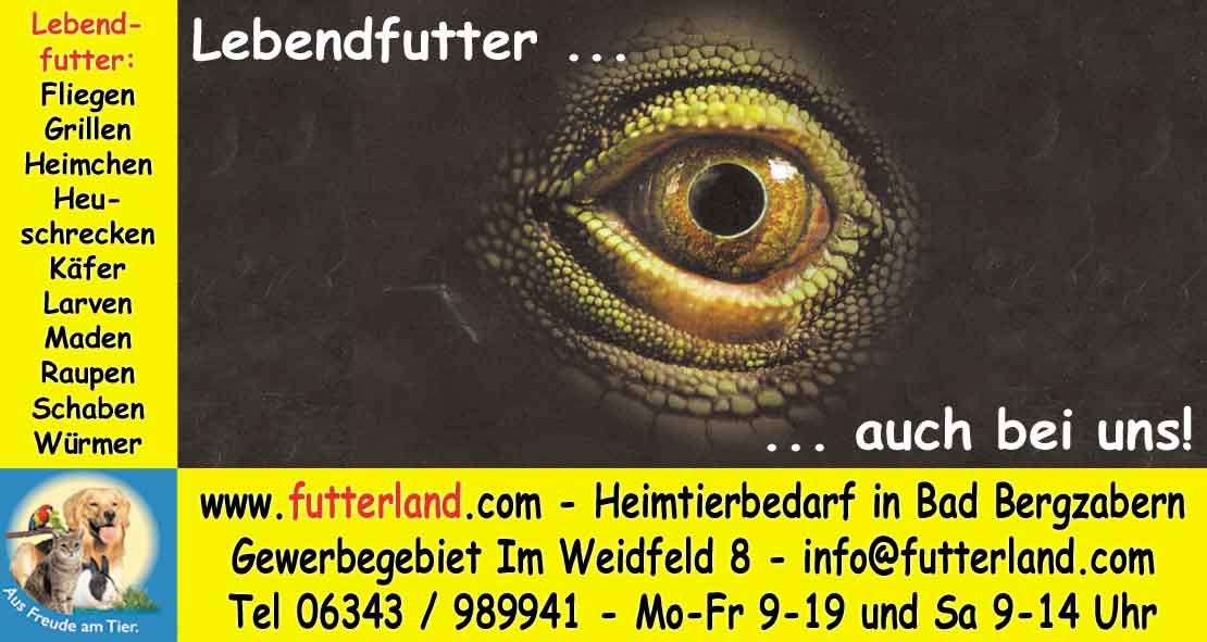 Pfalz-Echo-2017-05-29