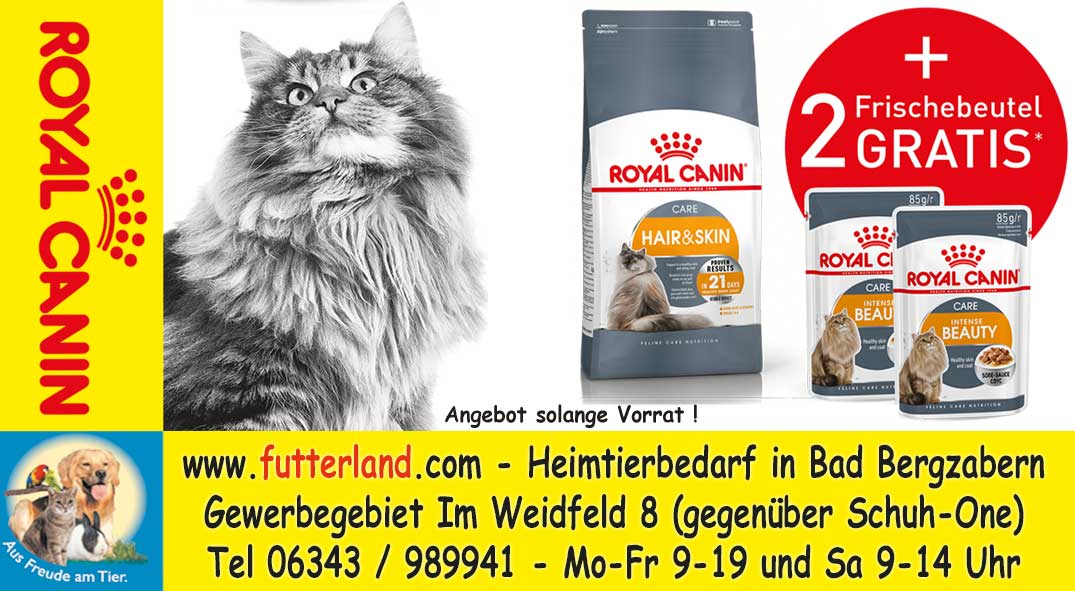 Pfalz-Echo-2017-08-28
