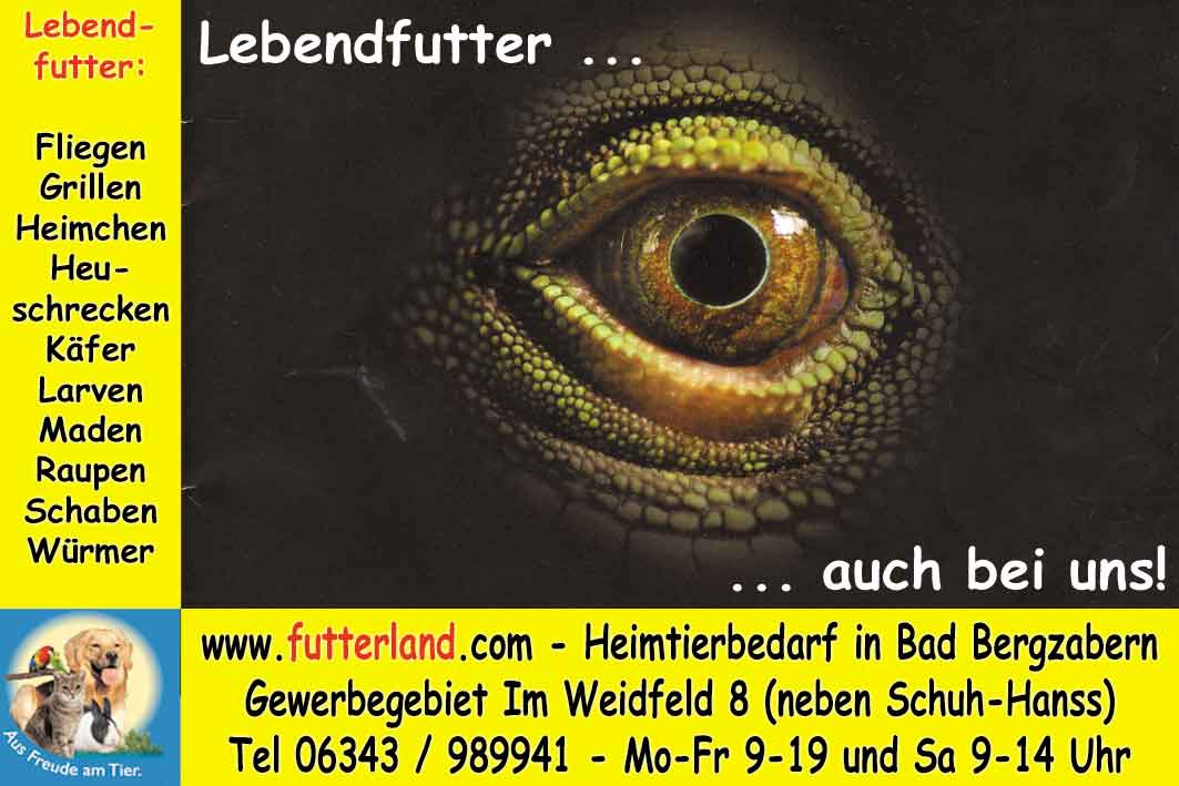 Bienwald-Kurier-2011-04-13