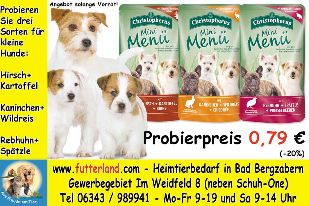 Rheinpfalz-2013-06-05