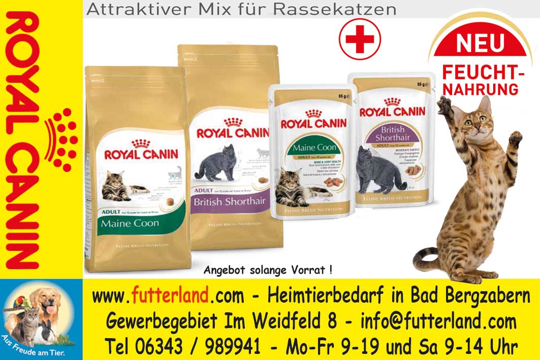Rheinpfalz-2016-02-03