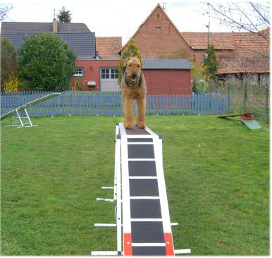 Hundeschule