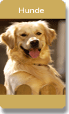 Hunde