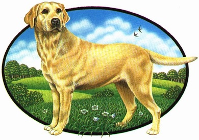 Hokamix
