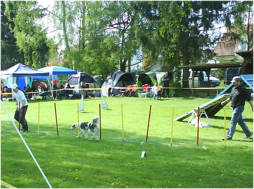 herxheim-2011-04-slalom-medium