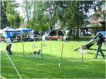 herxheim-2011-04-slalom-medium