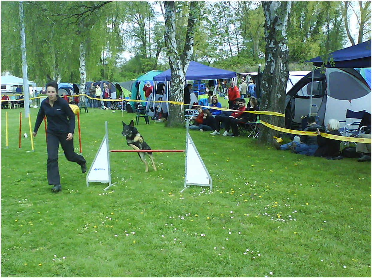 herxheim-2011-04-sprung