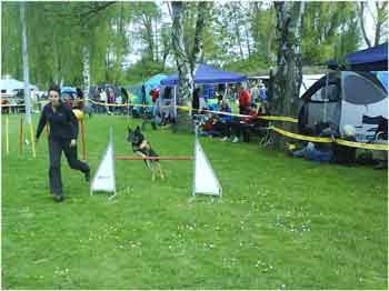 herxheim-2011-04-slalom-sprung